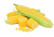 Подольский 274 СВ F1 - кукуруза, 80 000 семян  фото, цена